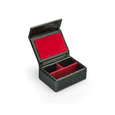 Small Leather Stud & Collar Bone Box - Green Croc With Red - Green croc with red - Helvetica/silver