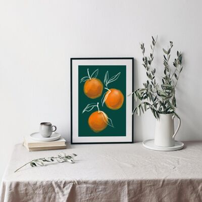 Orange Botanical fruit Print - Art Print - Christmas Gift - Kitchen Art , A4 print