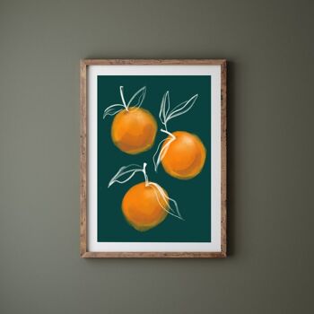 Orange Botanical fruit Print - Art Print - Christmas Gift - Kitchen Art , A4 print 4