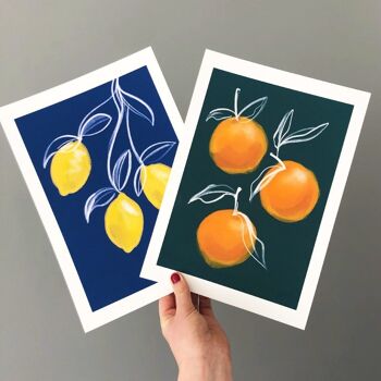 Orange Botanical fruit Print - Art Print - Christmas Gift - Kitchen Art , A4 print 5