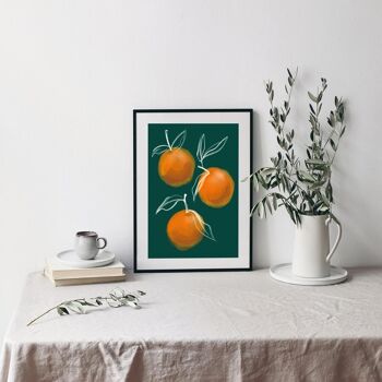 Orange Botanical fruit Print - Art Print - Christmas Present - Kitchen Art , A3 print 1