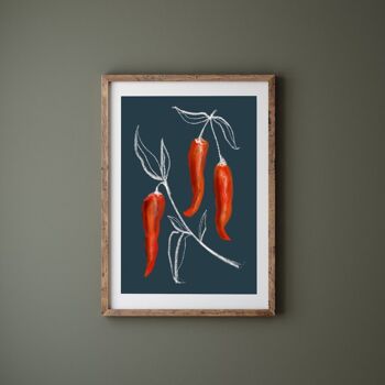 Chilli Botanical Print - Art Print - Art de la cuisine, impression A4 2