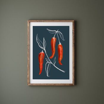 Chilli Botanical Print - Art Print - Art de la cuisine, impression A3 2