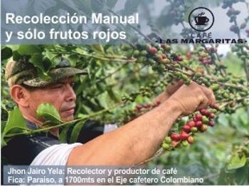 Grains de café torréfiés naturellement provenant d'une ferme colombienne, 100 % Arabica +83 points SCA 8