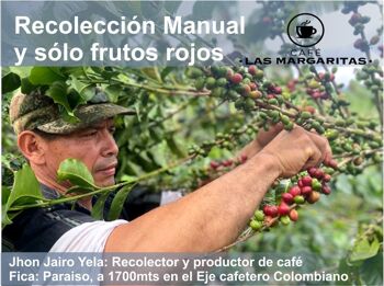 kilo de grains de café torréfiés naturels de Colombie, 100% Arabica origine ferme +83pts spécialité SCA 4