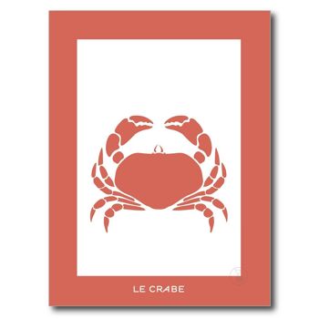 Crustacé Crabe Rouge 2