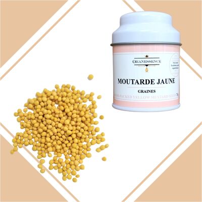 Moutarde jaune graines