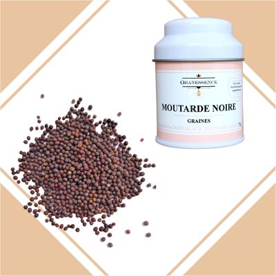 Moutarde noire graines