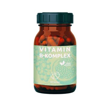 Complexe Vitamine B 60 gélules 1