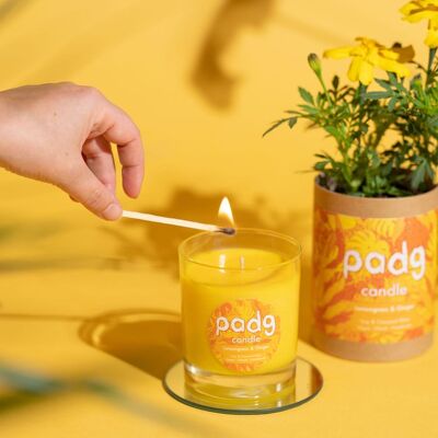 Lemongrass & Ginger - Large Padg Candle