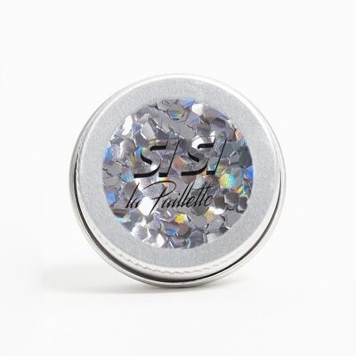 Chunky Silver Holo Sequins
