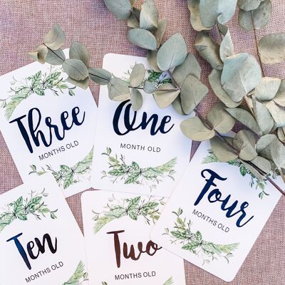 Cartes de naissance Milestone