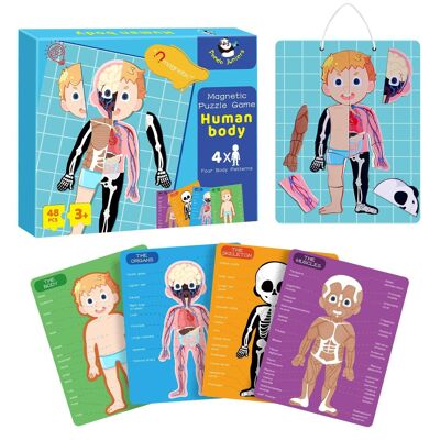 Puzzle modèle du corps humain pour les enfants, 48 pièces Puzzles magnétiques Ensemble de jeu d'anatomie humaine, Jouets pour aider les enfants à apprendre le corps humain - Jouets éducatifs pour 3 4 5 6 7 8 ans (corps humain) - Jouets et artisanat