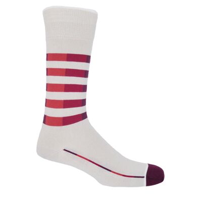 Quad Stripe Herren Socken - Creme