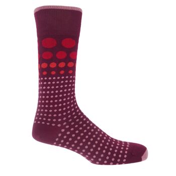 Chaussettes Homme Grad Polka - Bordeaux 1