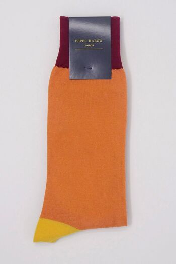 Chaussettes Homme Burgess - Orange 2