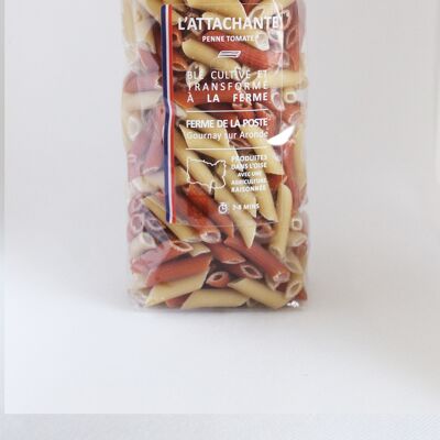 The endearing Tomato - PENNE - 250g