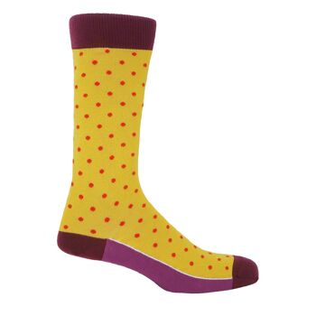 Chaussettes Homme Pin Polka - Honey 1