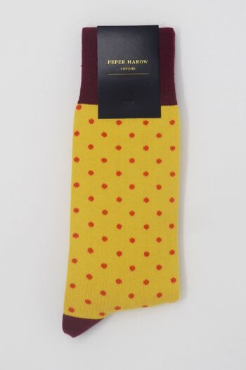 Chaussettes Homme Pin Polka - Honey 2