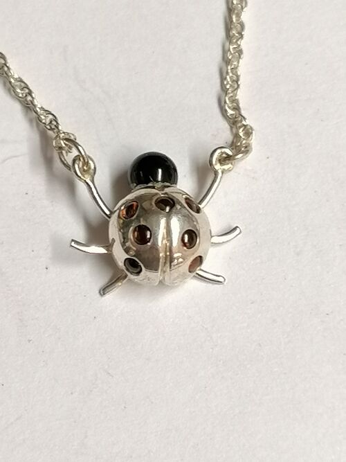 Ladybird , Ladybug pendant made from Silver and set with Garnet and Onyx