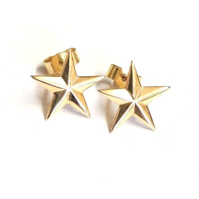 Star earstuds made from 18ct yellow gold