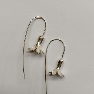 Solomon's seal, Silver drop ear rings