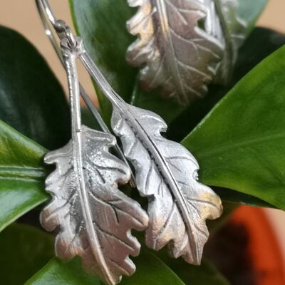 Gocce di foglie di quercia in argento