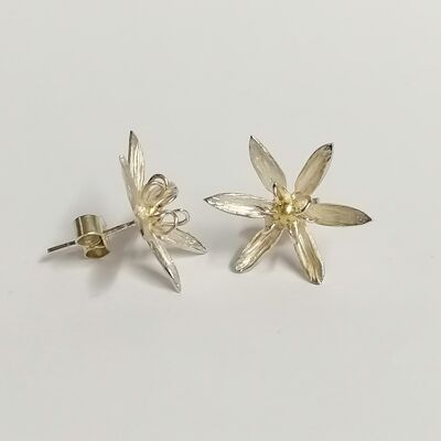 Clous Camassia en argent avec une perle en or 9 carats