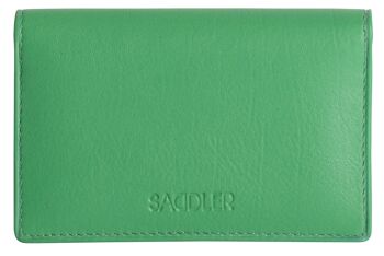 SADDLER "JESSCIA" Porte-cartes de crédit mince en cuir véritable luxueux pour femmes | Étui pour cartes de visite | Porte-cartes Designer pour dames | Coffret cadeau - Vert 4