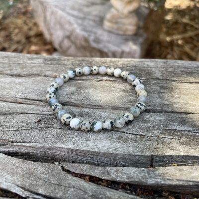 Lithotherapy Elastic Bracelet in Tree Agate and Dalmatian Jasper