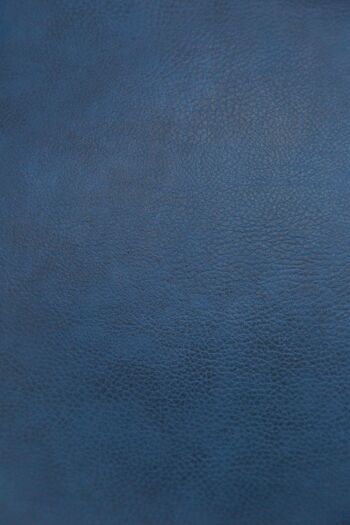 Active Ball - Tissu Cuir - Bleu Roi 65cm 5