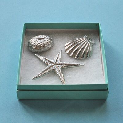 Boxed Gift Set - Three Shells