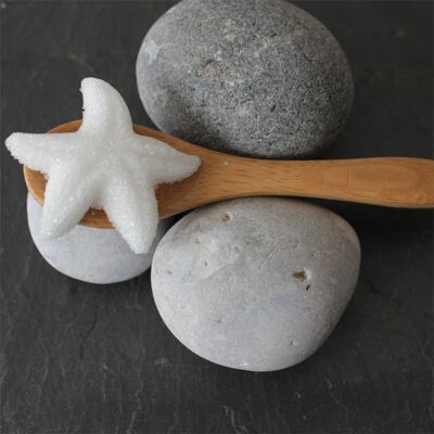White starfish sugar x300