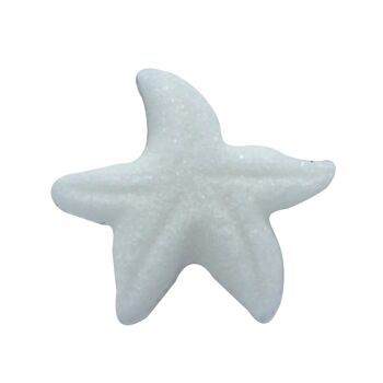 Sucre étoile de mer blanc x300 3
