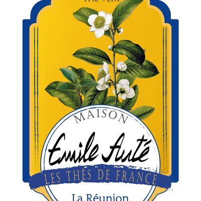 "Thé vert de l'Ile de la Réunion"