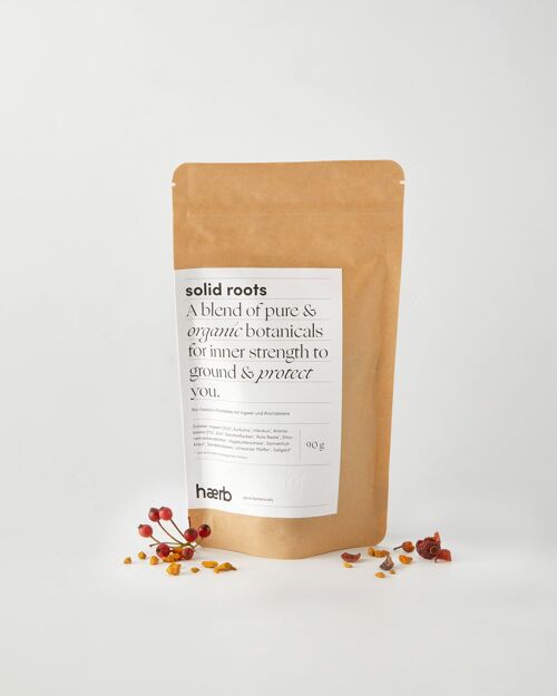 solid roots // Ingwer und Aroniabeere - Classic Bag (90g / 18 servings)