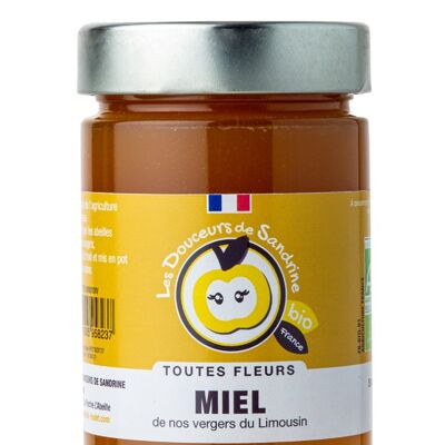 Miel BIO Toutes Fleurs 500G