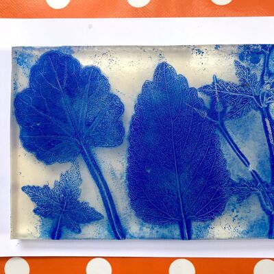 Printmaking gel plate kit with A5 (21x15cm) gelli plate, beginners mono printmaking project along with instructions & videos.