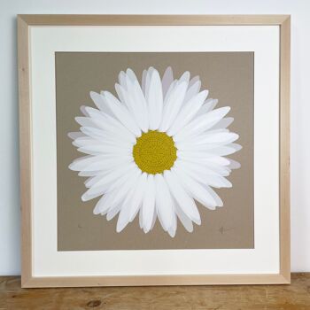 Marguerite 1