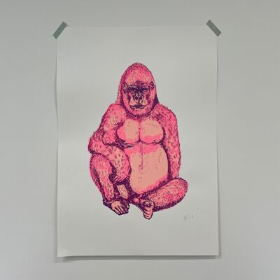 Gorila rosa / morado / 1