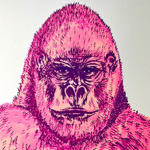 Gorilla | NEW Pink