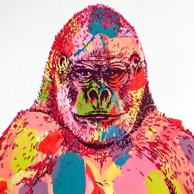 Impresión original de la pantalla del gorila arcoíris 1/1