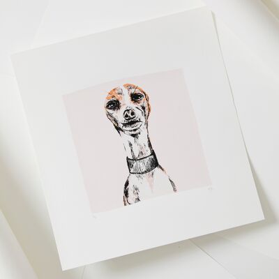 Impresión de pantalla de perro galgo italiano