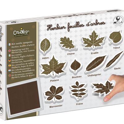 Stamp tool kit "Herbarium, tree leaves"