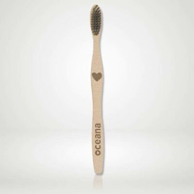 Brosse à dents biodégradable en bambou noir adulte