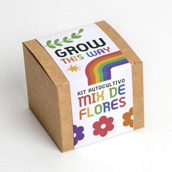 Grow this Way (Kit d'auto-culture de mélange de fleurs) 2