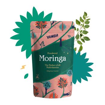 Poudre de Moringa (200g) 1