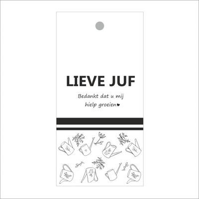 Cadeaukaartjes - Lieve juf