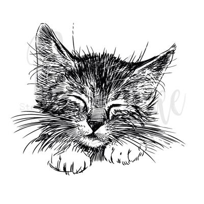 Relaxed Cat - 3 inch, unmounted rubber stamp only