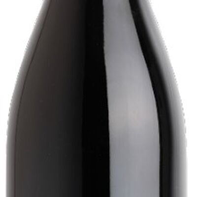 Red wine without added sulphites - Organic 2023 - SO² hood